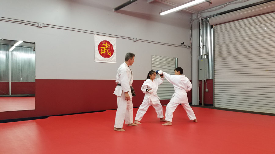 Tucson Martial Arts Gallery